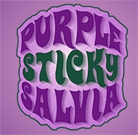  Salvia Wholesale